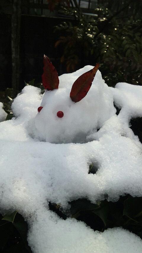 muffledin's tweet photo. うさこさん。 http://t.co/8dn2ypLM