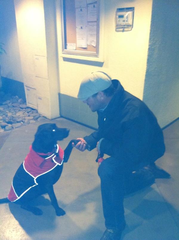 caskeybair's tweet photo. Jakey in his new coat Happy New Year!! http://t.co/f4WVTEmh