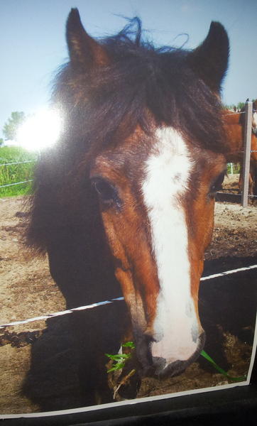 Ik zal je missen kleintje!!! Ondanks je eigen wijze gedrag was je toch altijd mijn nummer 1!!!