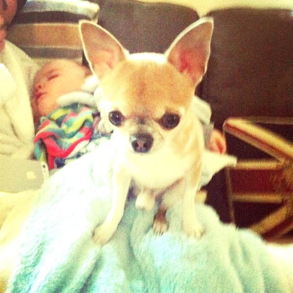 @hburn85 lush day with the bezzie and her plus one - too cute!