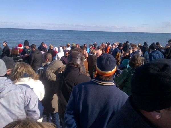 MoniqueONDP's tweet photo. #polarbears #HamOnt 1:00 swim! #HappyNewYear http://t.co/3Ad3pGvt