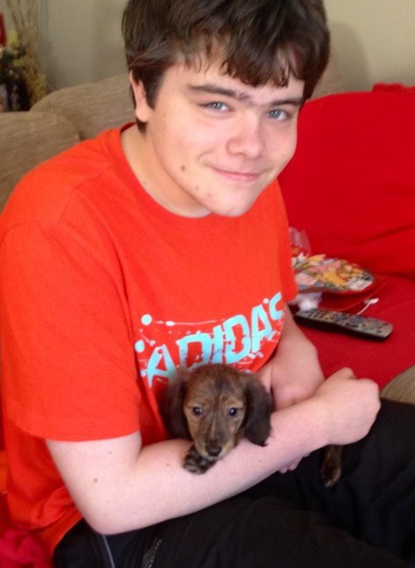 Jellybean_1616's tweet image. And I thought it would never happen! It's actual #Love #AutisticSon #NewPuppy
