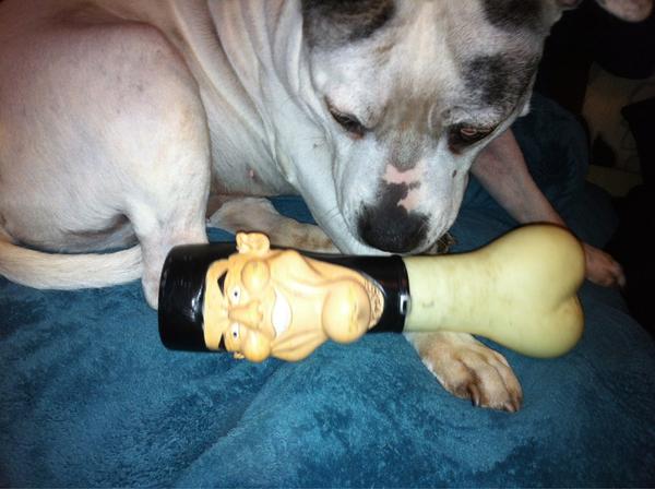 Wadey247's tweet photo. @SimonCowell my dog loves you! :) http://t.co/2ibCR7iS
