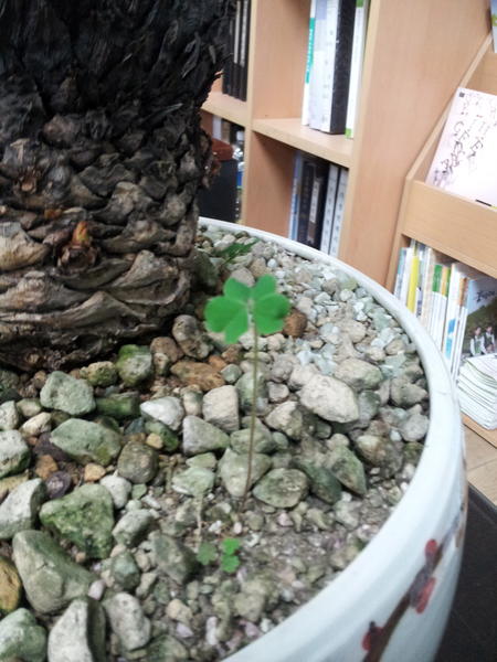 Hyoseok.Kang tweet media