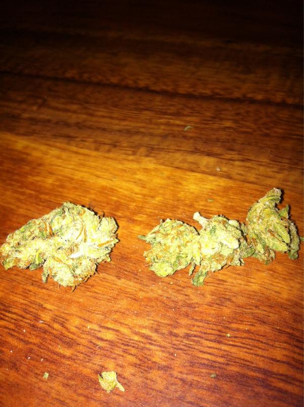 cmoyer92's tweet photo. @gurlWeed #WeedPorn damn dude. This is sooooo crystal covered! Smells dope taste amazing. #G13 http://t.co/orc2AMaX