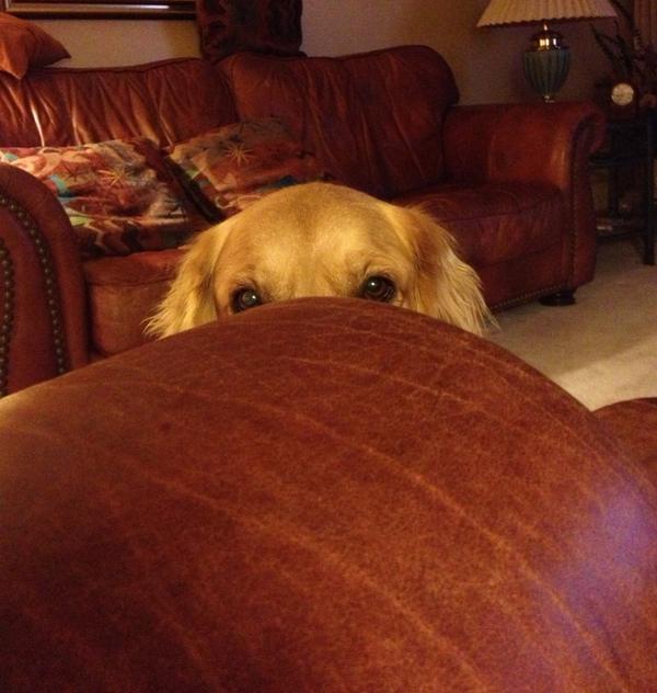 courtneytracy_'s tweet image. I think someone wants my popcorn... #notsosubtle