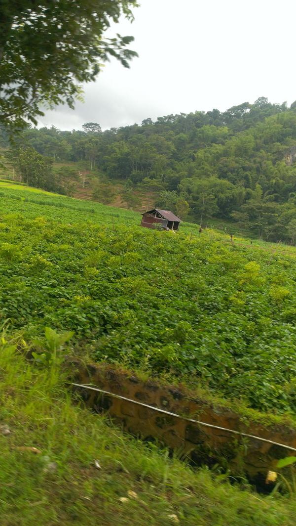 JokJa2's tweet photo. makasih kang....!RT @Gol_A_Gong: JokJa2 Matesih kecamatan yg maju dan indah http://t.co/ReIaNy2i