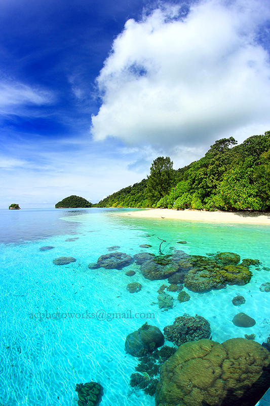FOIndonesia's tweet photo. RT @antonchandra: Beningnya air laut di Papua http://t.co/LgfEQSf7