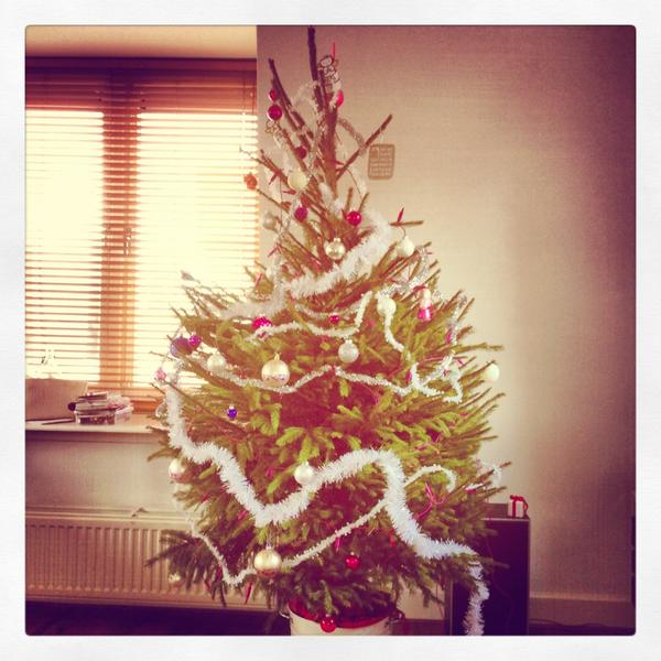 arandag's tweet image. De vorige doet 't goed hier! RT @HeAndre Mooie #kerstboom van 1.50 met #kluit zoekt nieuw baasje met #tuin in #utrecht.