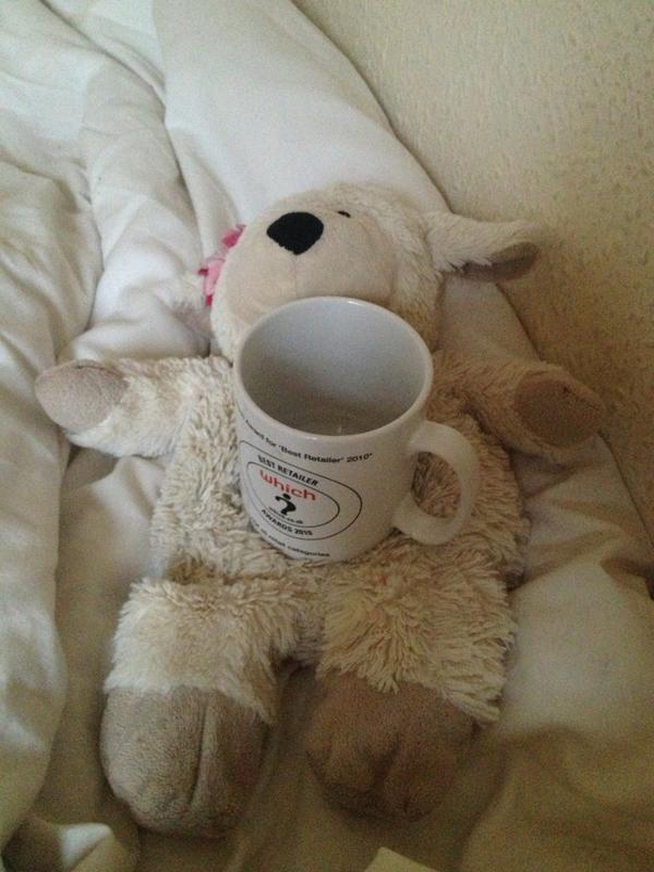 nataliepucher's tweet image. @GraceMThompson_  Sheila is also a good mug holder! #multipurposeuse