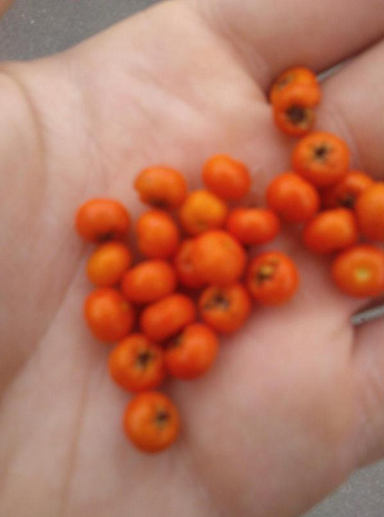 QuandJetaisPtit's tweet photo. #RT si quand t'étais petit tu pensais que c'était du poison... http://t.co/YzUpzWog