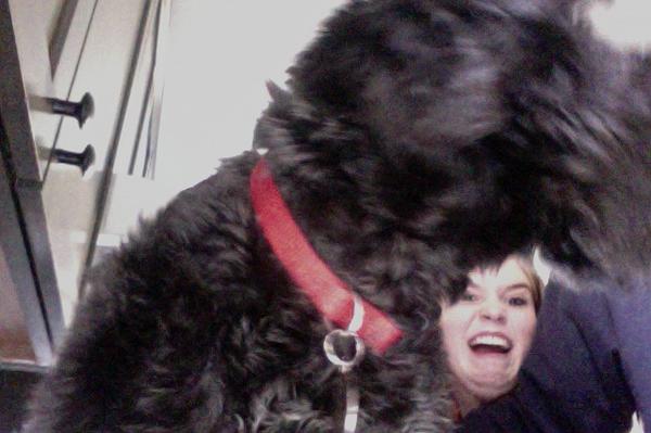 The stuff i find on my computer... #help