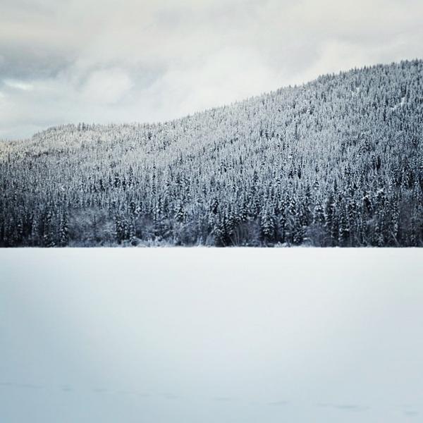 beautifulbcbot's tweet image. by theysaycamron instagr.am/p/T_9rdkyL9s/ Winter ❄ || #winter #winterwonderland #chasingsnow #tsqescen #trees