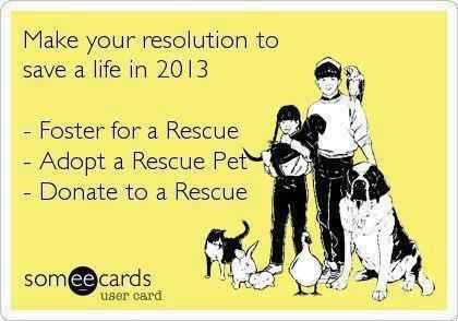 devils8383's tweet image. 