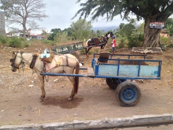 James Rosenberg tweet media