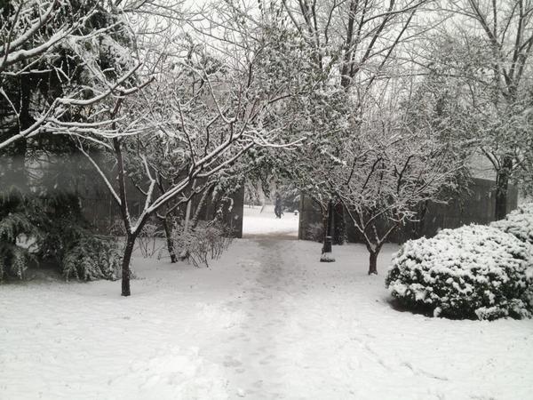 Chauncey (@zcares) on Twitter photo 