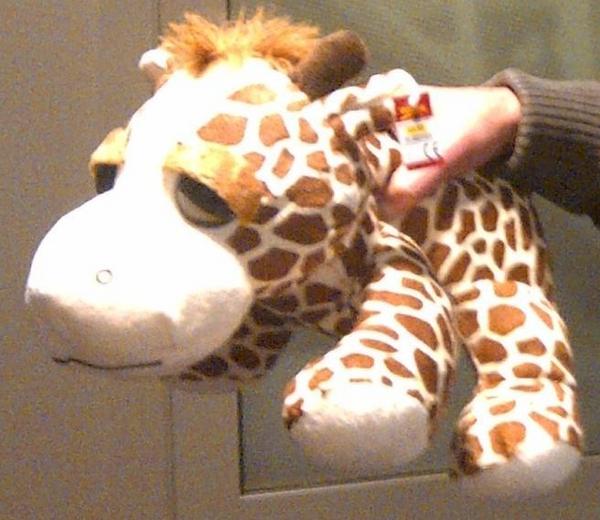 Hmzz10's tweet image. @Politie Politie zoekt eigenaar knuffelgiraffe die werd aangetroffen bij aangehouden #Lhttp://t.co/qAveKPmB http://t.co/b2mYqZPV&amp;lt; sirieus?