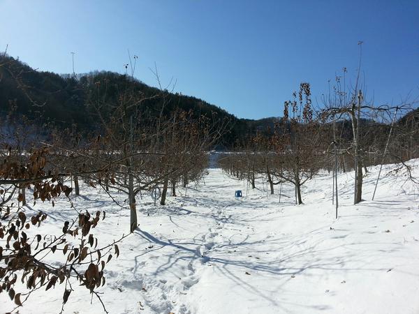 drive21c tweet picture