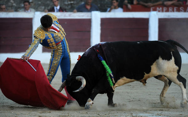 TierrasTaurinas's tweet photo. Antonio Rosales con un Encinas de Victorino en Hervás. Reportage completo en el opus 18. http://t.co/pVBqRGtE http://t.co/44PBD0Mw