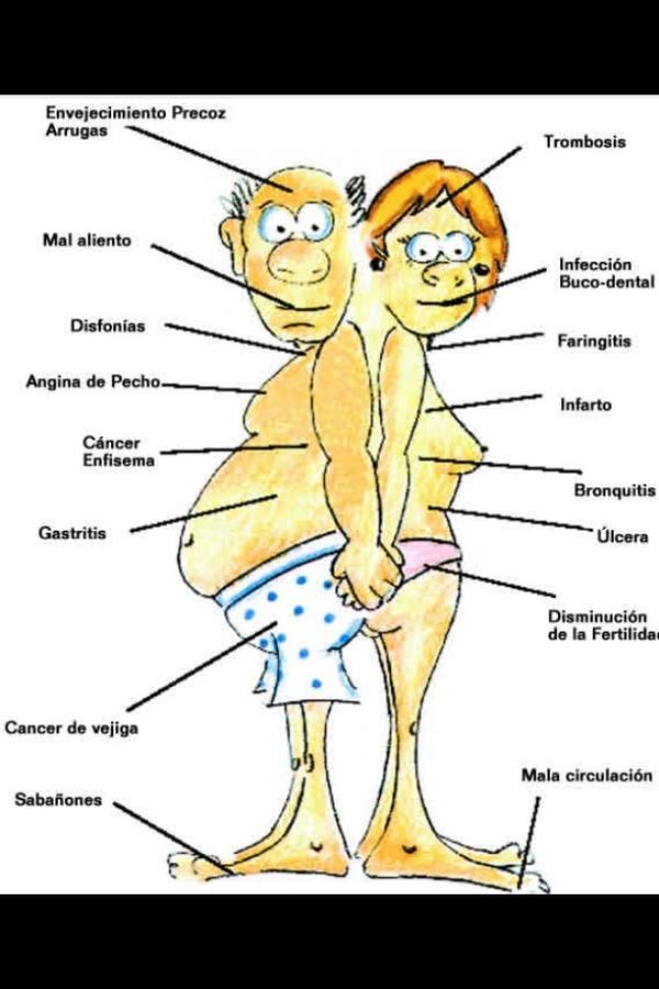 Efectos adversos del tabaco en el organismo