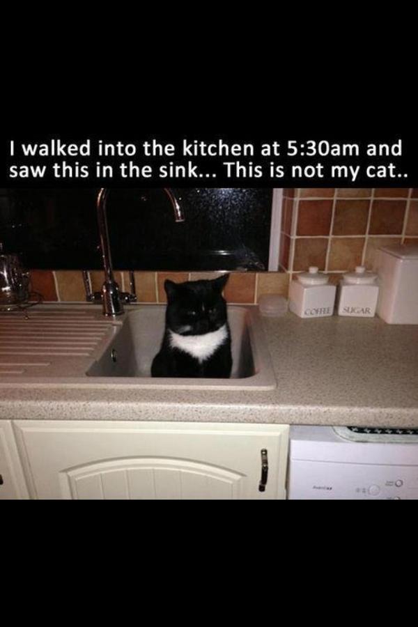 carlaface2's tweet image. I laughed for half an hour straight. His face!! #ironabs