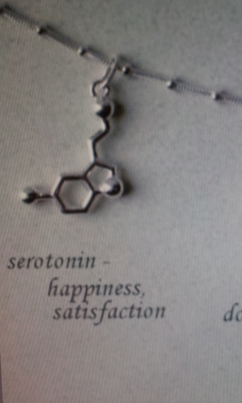 @naimafeich the serotonin molecule PS: if somebody steals the idea you're the one to blame :P