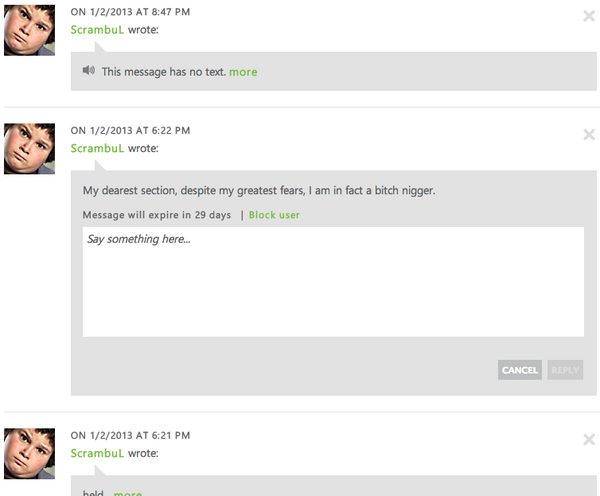 Sectionalized tweet media