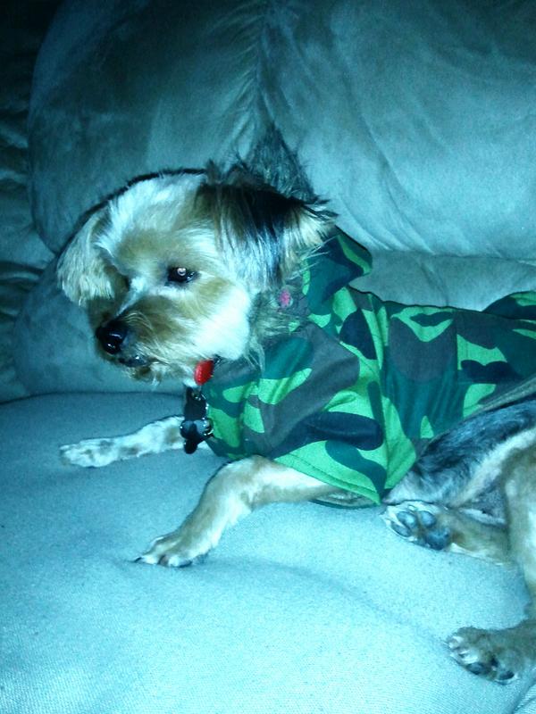 Stunin on them bitches lol #CamoCoat