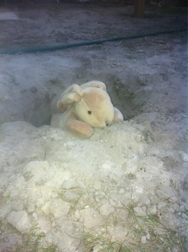 The 1 benefit of digging holes 4 a deck...."freeze gopher!!!" #caddyshack #bighitterthelama#youweargreensoyoucanhide