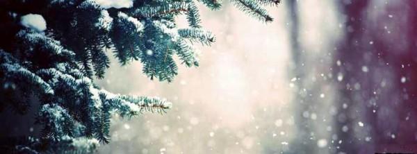 carwallpapers1's tweet photo. Winter Facebook Cover Photos  - http://t.co/GnYlmz60 http://t.co/mPLAIWyA