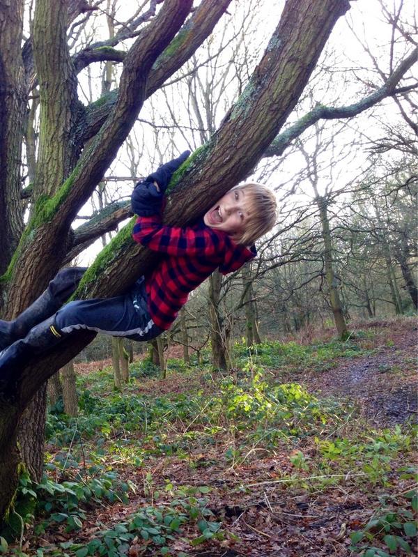 No clue how to tweet so give me a break ha ha - did I tweet a photo?