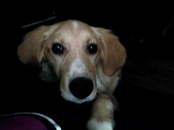 UBombshell's tweet image. waking up to this &amp;gt;