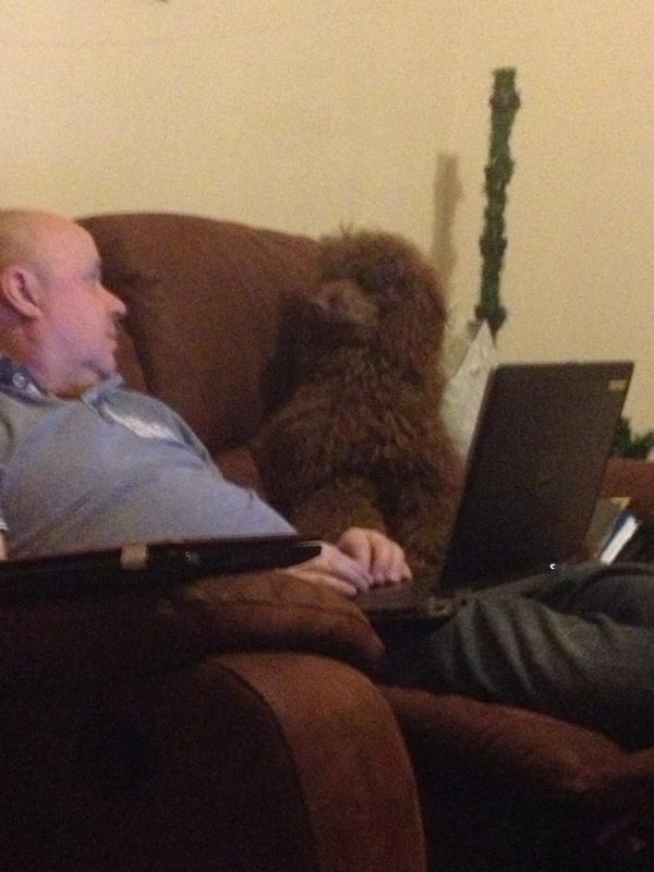 jamesbuffry's tweet image. What you looking at? #dog #cute #confusedidentity