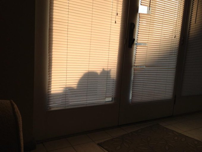 Can you spot the kitty @TheEllenShow http://t.co/kfzKkuNW<a class="tags" target="_blank" title="On Twitter" href="/?out=eyJ0eXAiOiJKV1QiLCJhbGciOiJIUzUxMiJ9.eyJpYXQiOjE3MjY3MTMzNzgsImlzcyI6InR3cG9ybnN0YXJzLmNvbSIsIm5iZiI6MTcyNjcxMzM3OCwiZXhwIjoxNzU4MjQ5Mzc4LCJyZWRpcmVjdF91cmwiOiJodHRwczovL3R3aXR0ZXIuY29tL1RoZUVsbGVuU2hvdyJ9.qc4ZdeVPBwddFy_vj9Kzps8Lf8jH-G0fQ-q9hVWe1YP6i3kTmxKXIRpfneUwjWFTlrkKe8SlQnpesKzROH5w-A">@TheEllenShow</a><a href="/tag/cantwait"class="tags"><span>#cantwait</span></a><a href="/tag/bridesmaid"class="tags"><span>#bridesmaid</span></a>