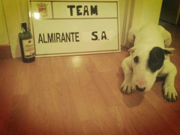 AlmiranteSA's tweet photo. Vaya maquinas jajajajajjaja siempre fieles http://t.co/0G6JxlAF