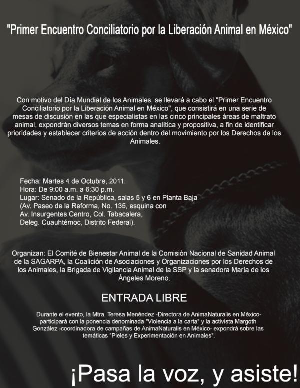 Primer Encuentro Conciliatorio por la Liberación Animal en México 
#NoAbusoAnimal @LargaVidaAlToro <a href="/Alto_Corridas/">No + corridasdeToros</a>