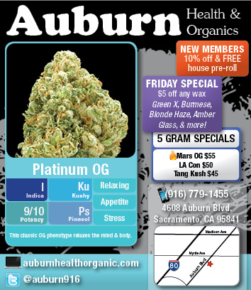 Auburn916's tweet photo. All week long ... #platinumOG & #marsOG are on special ... $45 for 4 grams ... $55 for 5 grams #FIRE! #prop215 http://t.co/IHY6DX7k