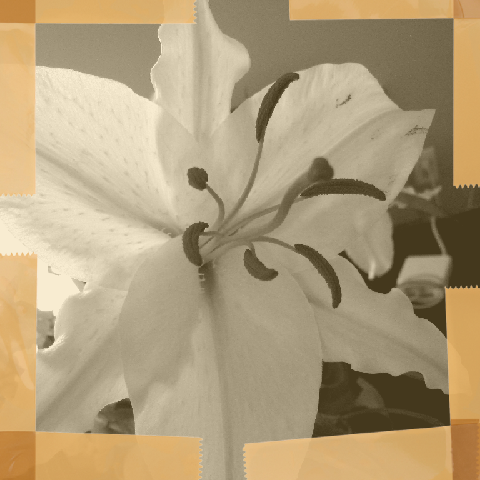 filterlab's tweet image. FilterLab wants to hear from you: What is your favorite filter from FilterLab?
bit.ly/pkTmEv