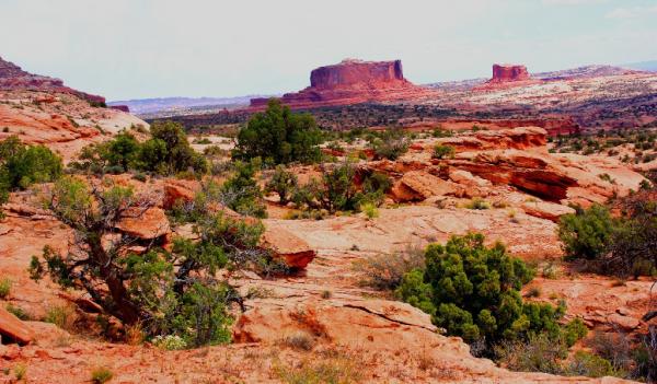 Slickrock100 tweet media