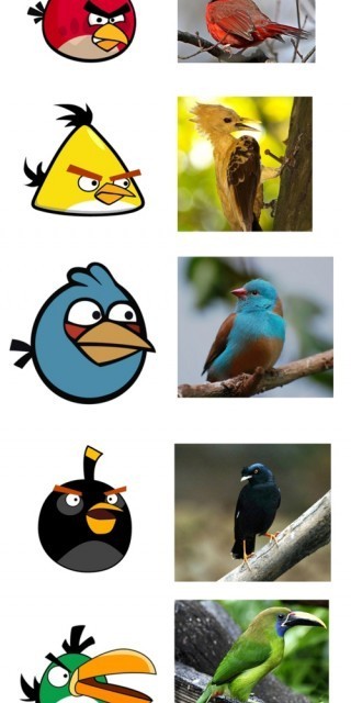 tomtomdator's tweet photo. all angry birds .. http://t.co/h1NgMVts
