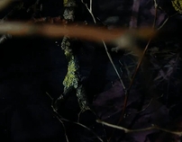 I just published a new project to my <a href="/behance/">Behance</a> portfolio: bit.ly/odX1MB