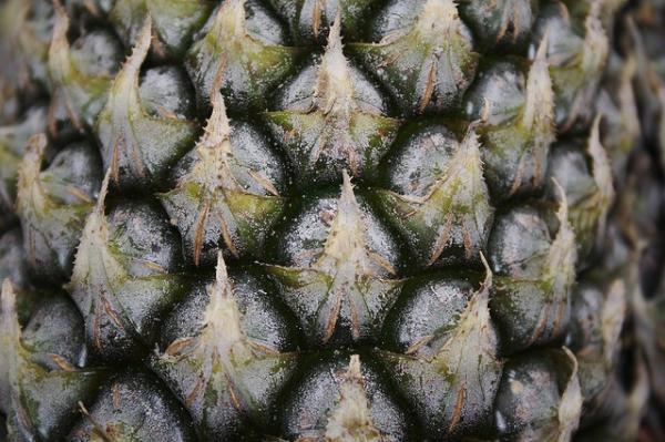 CaptainSpringjo's tweet image. This is a simple test