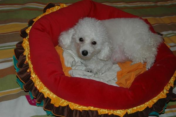echo_2001 tweet picture