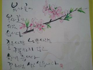 wegotosea's tweet image. 좋은사람 나쁜사람 구분하지 않고 향기를 줍니다. 꽃처럼 살고 싶습니다~마장동 골목길 벽화