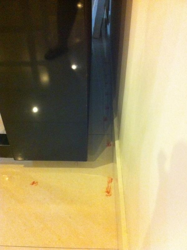 WillowNight27's tweet photo. Apparently, our house also has a Chamber of Secrets. I'm a Slytherin but I don't remember being the heir. http://t.co/0XZSi396