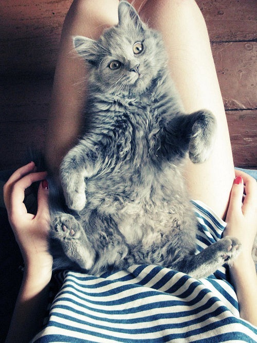 OlliaK's tweet photo. http://t.co/uKkLqaWS