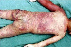 Ingrid Isabel tweet media