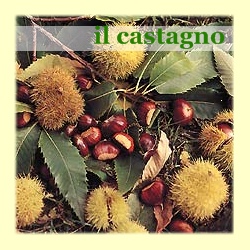 POLITO EGIDIO tweet media