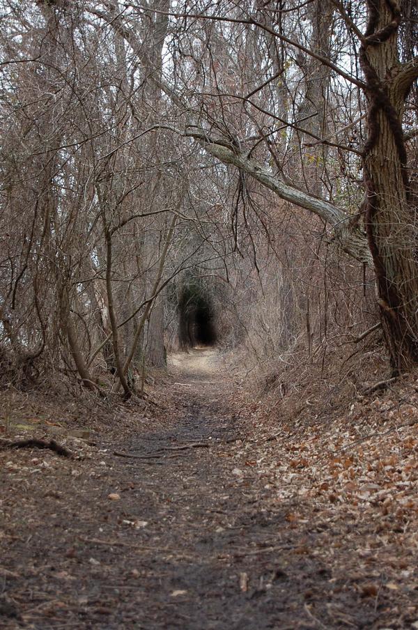OMFGalex's tweet photo. "Scythe" http://t.co/5IsND9YR