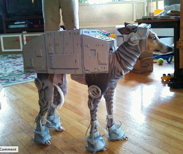 abbykitten's tweet image. found a perfect #petcostume for my bailey bean. this pup even looks JUST like her! #dogrobots